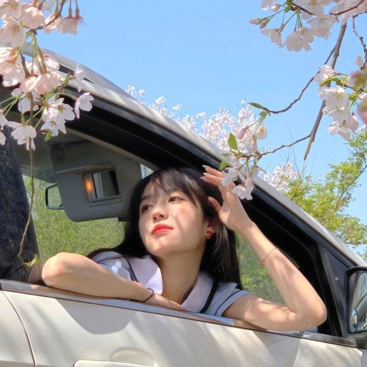 清水明 - 影视解说合集在线观看 - 在线看剧